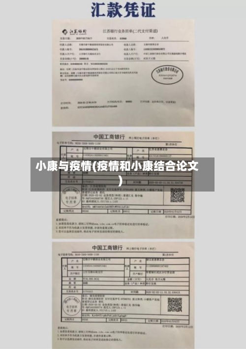 小康与疫情(疫情和小康结合论文)-第2张图片