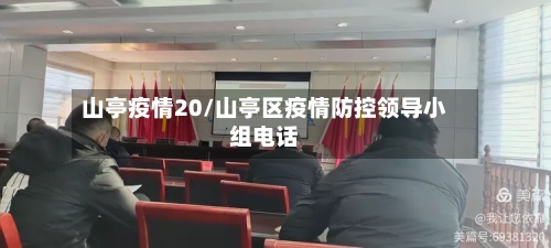 山亭疫情20/山亭区疫情防控领导小组电话-第2张图片