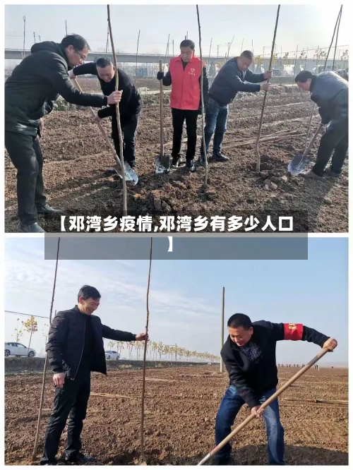 【邓湾乡疫情,邓湾乡有多少人口】