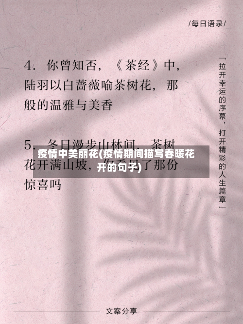 疫情中美丽花(疫情期间描写春暖花开的句子)