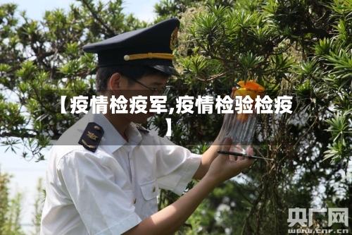 【疫情检疫军,疫情检验检疫】-第2张图片