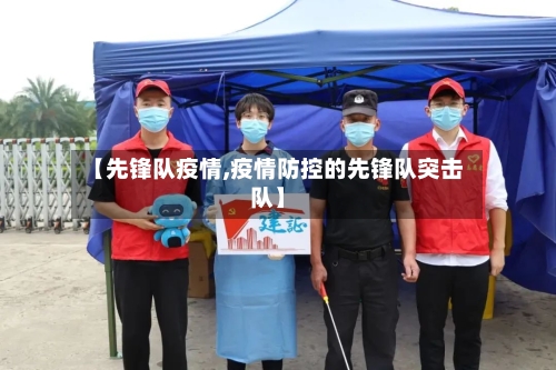 【先锋队疫情,疫情防控的先锋队突击队】-第3张图片