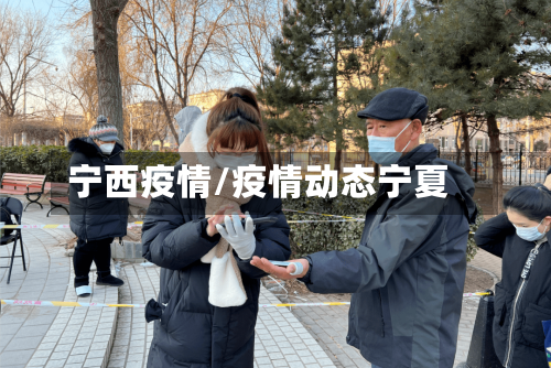 宁西疫情/疫情动态宁夏