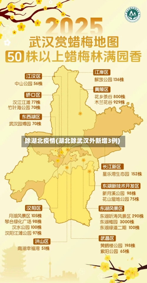 除湖北疫情(湖北除武汉外新增3例)