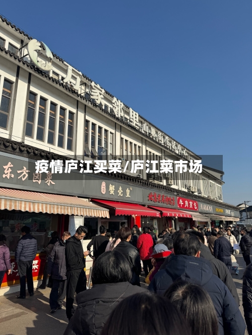 疫情庐江买菜/庐江菜市场