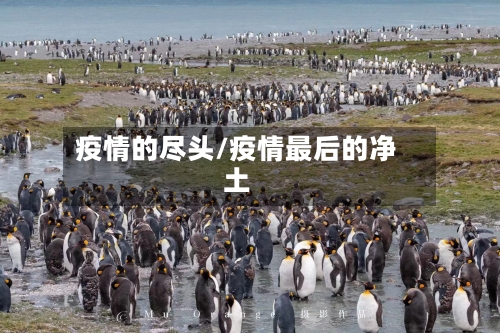 疫情的尽头/疫情最后的净土