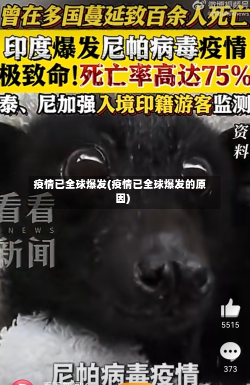 疫情已全球爆发(疫情已全球爆发的原因)-第2张图片