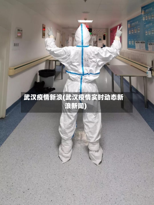 武汉疫情新浪(武汉疫情实时动态新浪新闻)
