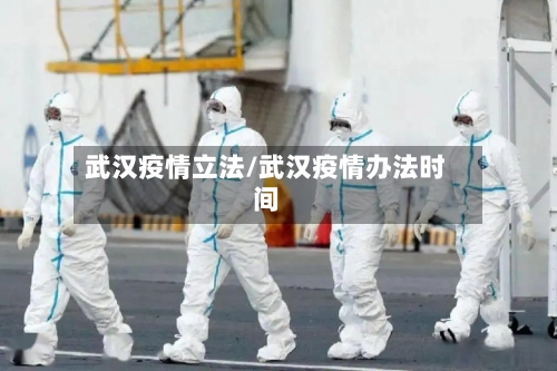 武汉疫情立法/武汉疫情办法时间-第2张图片