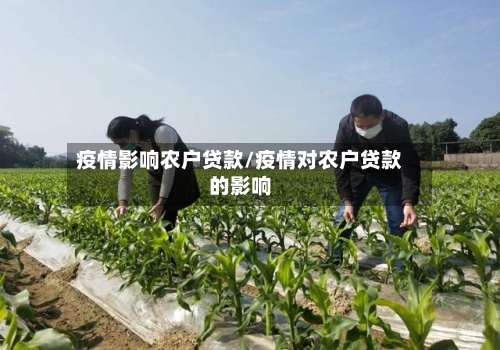 疫情影响农户贷款/疫情对农户贷款的影响