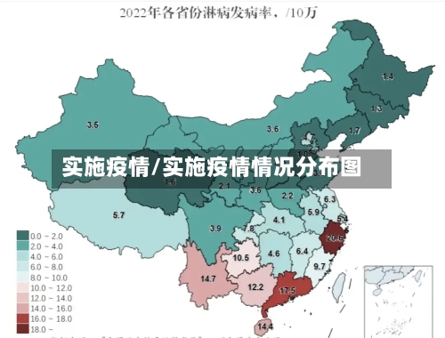 实施疫情/实施疫情情况分布图