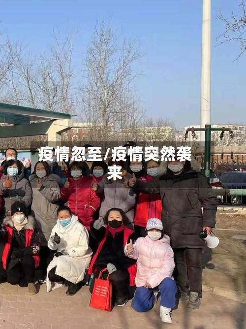 疫情忽至/疫情突然袭来