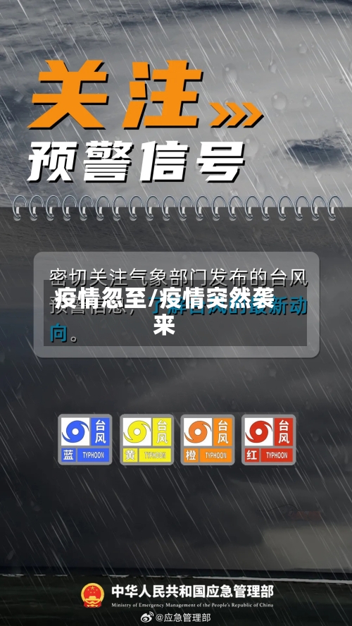 疫情忽至/疫情突然袭来-第3张图片