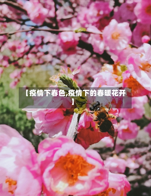 【疫情下春色,疫情下的春暖花开】