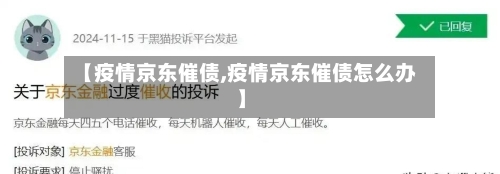 【疫情京东催债,疫情京东催债怎么办】-第2张图片
