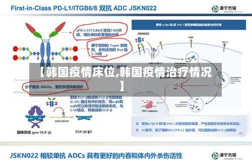 【韩国疫情床位,韩国疫情治疗情况】-第2张图片