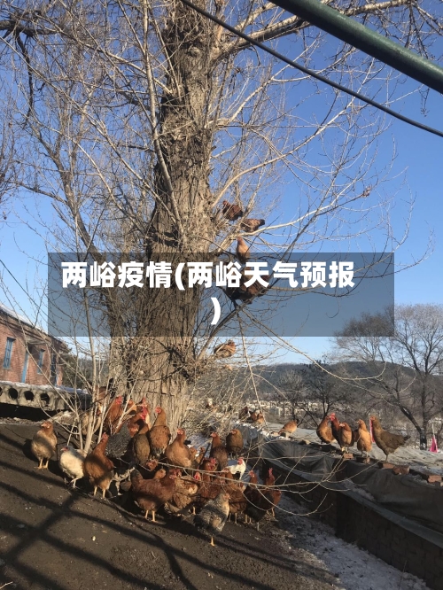 两峪疫情(两峪天气预报)-第2张图片