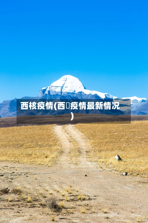 西核疫情(西蔵疫情最新情况)