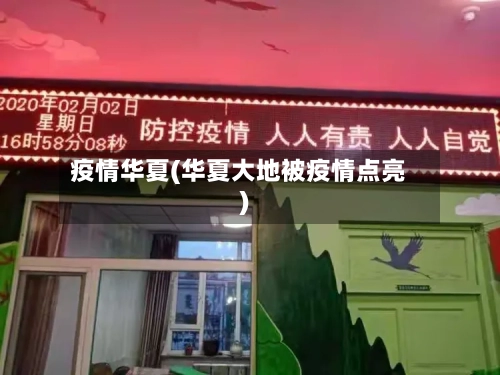 疫情华夏(华夏大地被疫情点亮)