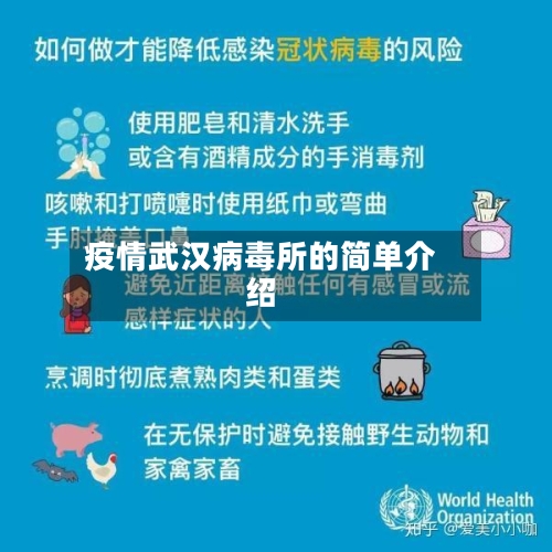 疫情武汉病毒所的简单介绍