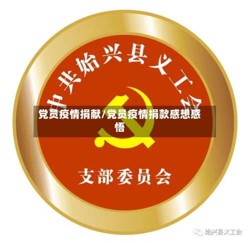 党员疫情捐献/党员疫情捐款感想感悟-第2张图片