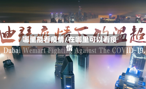 哪里能看疫情/在哪里可以看疫情