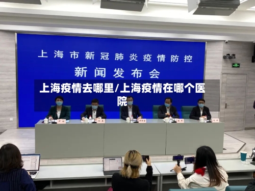 上海疫情去哪里/上海疫情在哪个医院