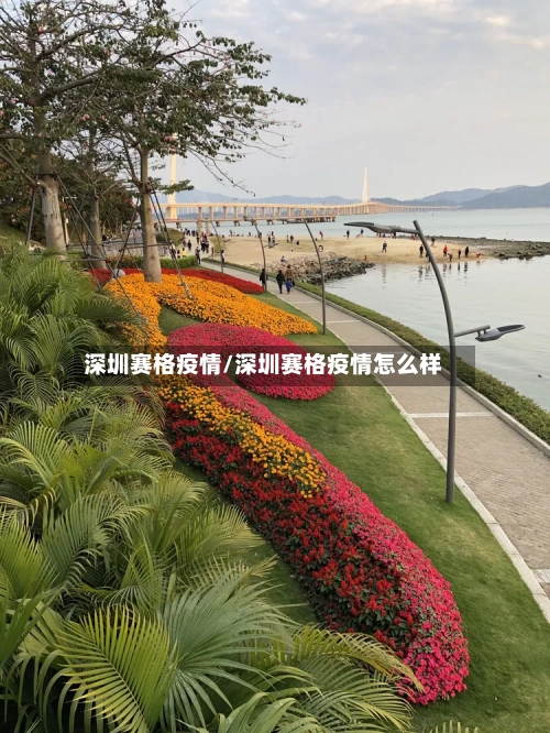 深圳赛格疫情/深圳赛格疫情怎么样-第2张图片
