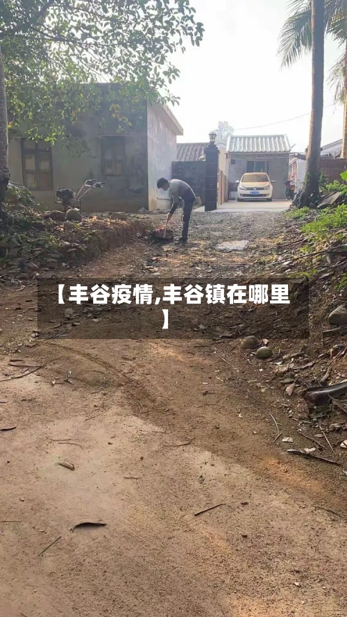 【丰谷疫情,丰谷镇在哪里】-第2张图片