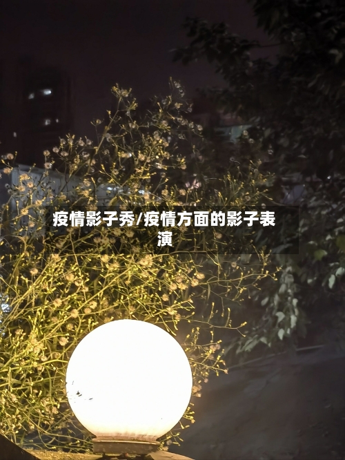 疫情影子秀/疫情方面的影子表演