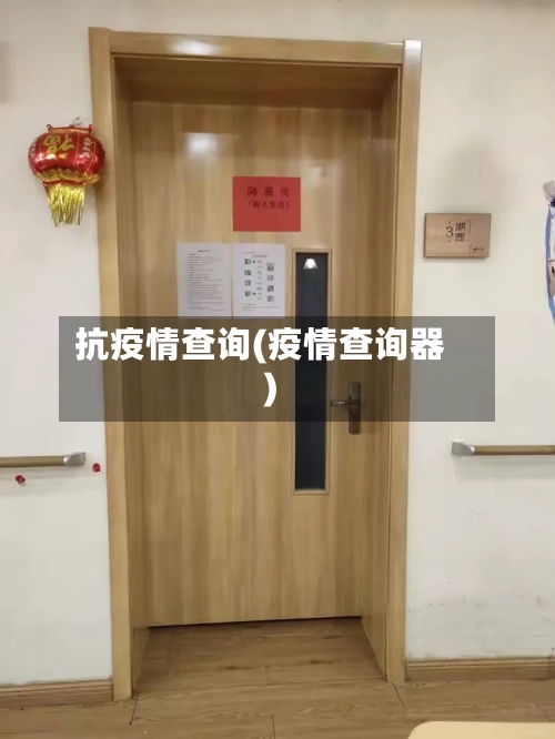 抗疫情查询(疫情查询器)-第2张图片