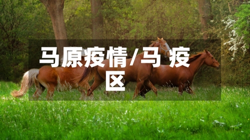 马原疫情/马 疫区-第3张图片