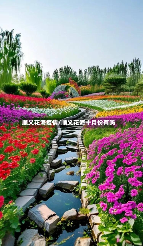 顺义花海疫情/顺义花海十月份有吗-第2张图片