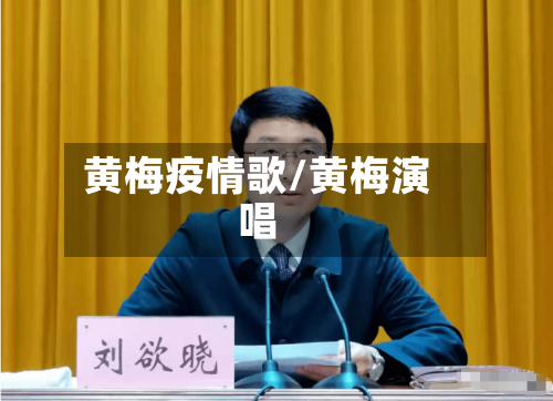黄梅疫情歌/黄梅演唱