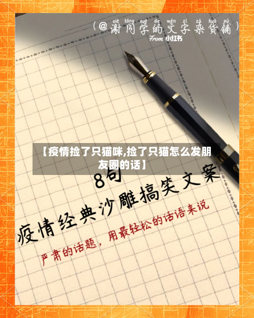 【疫情捡了只猫咪,捡了只猫怎么发朋友圈的话】-第3张图片