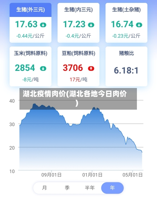 湖北疫情肉价(湖北各地今日肉价)