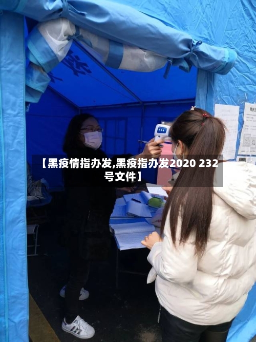 【黑疫情指办发,黑疫指办发2020 232号文件】