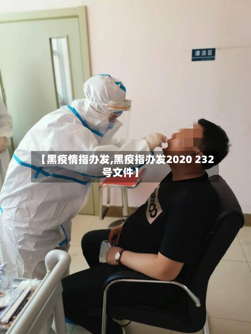 【黑疫情指办发,黑疫指办发2020 232号文件】-第3张图片