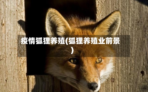 疫情狐狸养殖(狐狸养殖业前景)