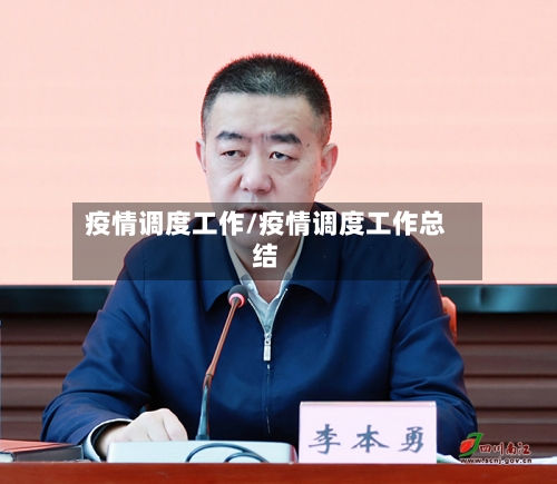 疫情调度工作/疫情调度工作总结
