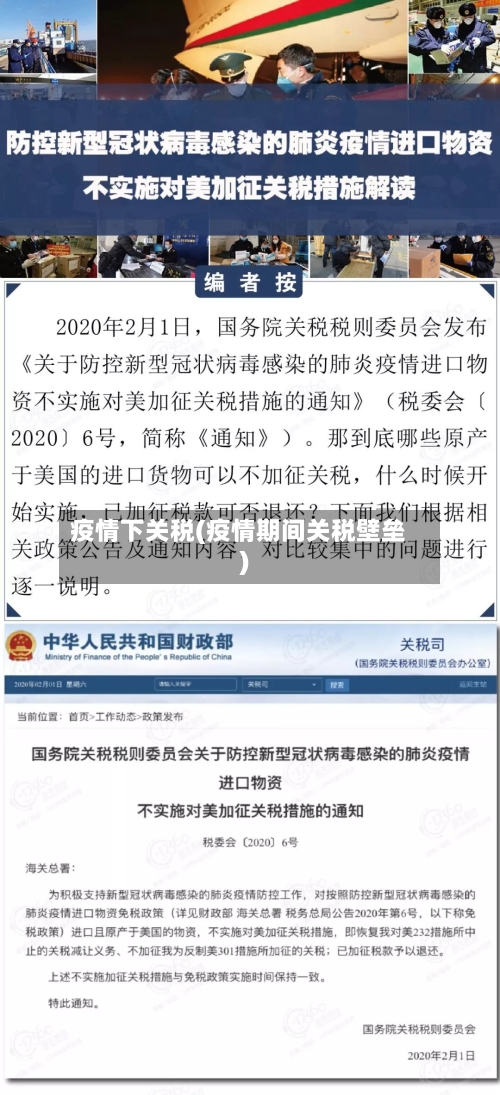 疫情下关税(疫情期间关税壁垒)