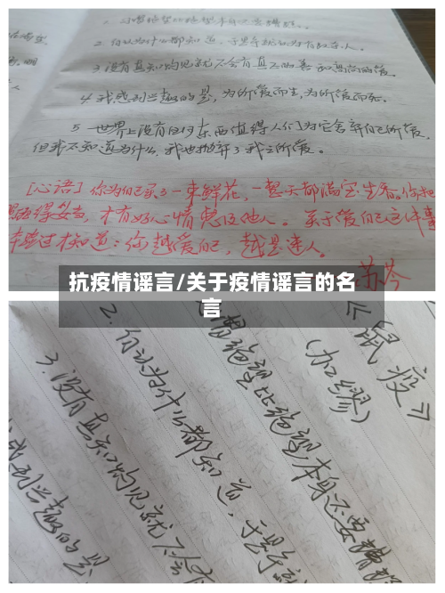 抗疫情谣言/关于疫情谣言的名言-第2张图片