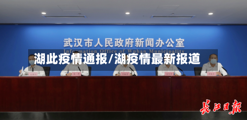 湖此疫情通报/湖疫情最新报道-第2张图片
