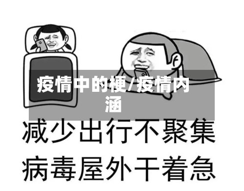 疫情中的梗/疫情内涵