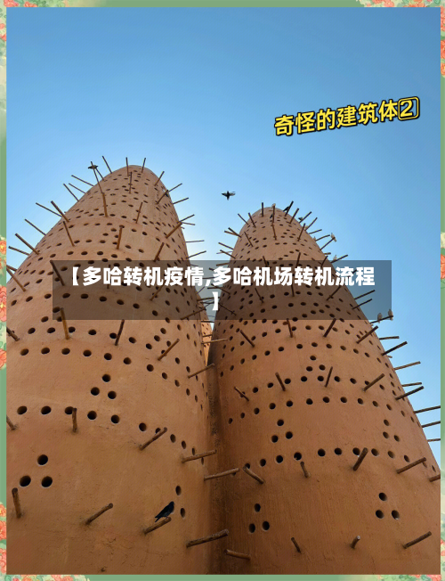 【多哈转机疫情,多哈机场转机流程】-第2张图片