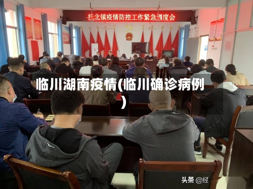 临川湖南疫情(临川确诊病例)