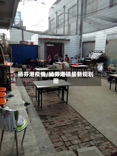 杨芬港疫情/杨芬港镇最新规划图