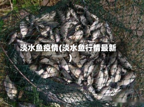 淡水鱼疫情(淡水鱼行情最新)