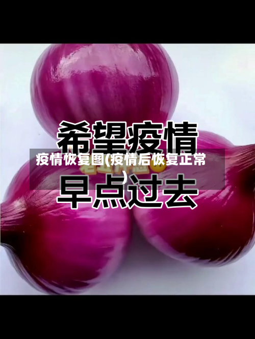 疫情恢复图(疫情后恢复正常)-第2张图片