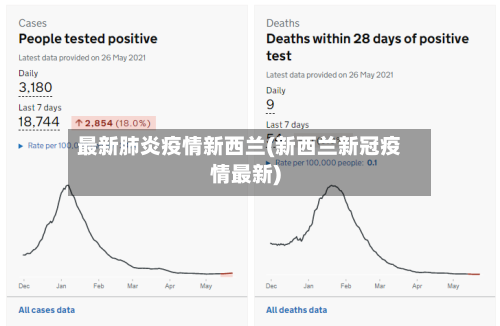 最新肺炎疫情新西兰(新西兰新冠疫情最新)-第2张图片
